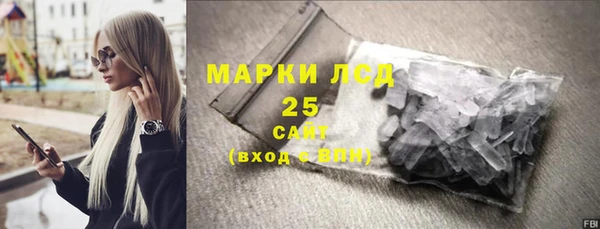 прущий лед Алзамай