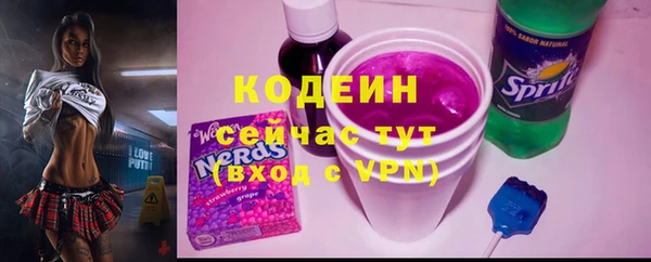 прущий лед Алзамай