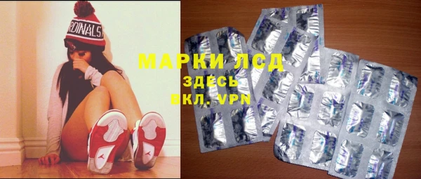 прущий лед Алзамай