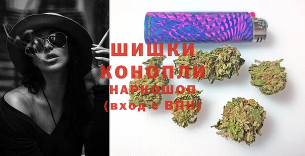 прущий лед Алзамай